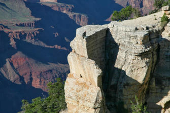 134 Grand Canyon.jpg