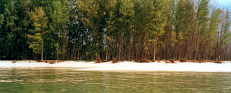 006-Thailand.jpg