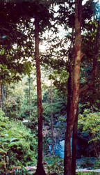 Billede560.jpg