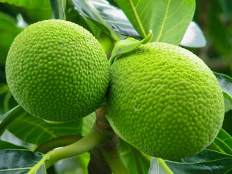 059 plage de la perle.jpg