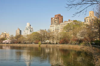 056 Central Park.jpg