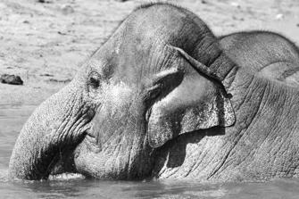ZOO-14.jpg