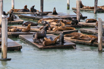 248 San Francisco.jpg