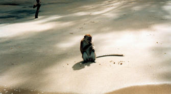 Billede060.jpg