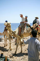 033-Egypt.jpg