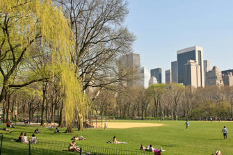 030 Central Park.jpg