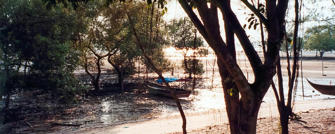 Billede610.jpg