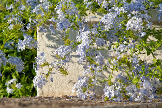 061-Greece.jpg